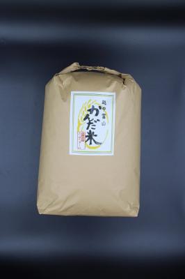 【新米】令和3年産玄米『かんだ米』コシヒカリ 10kg