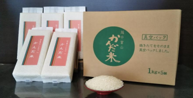 令和3年産　真空パック化粧箱入り　精米　鮮度の米『かんだ米』コシヒカリ(1kg×5袋)