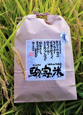 山田のいちばん星・駒寄米(特別栽培米)5kg 玄米
