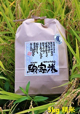 山田のいちばん星・駒寄米(特別栽培米)5kg 精米