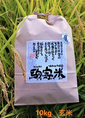 山田のいちばん星・駒寄米(特別栽培米)10kg 玄米